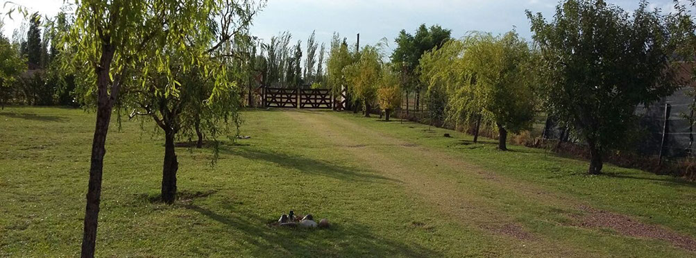 Cabaña San Rafael Mendoza Antu Mahuida