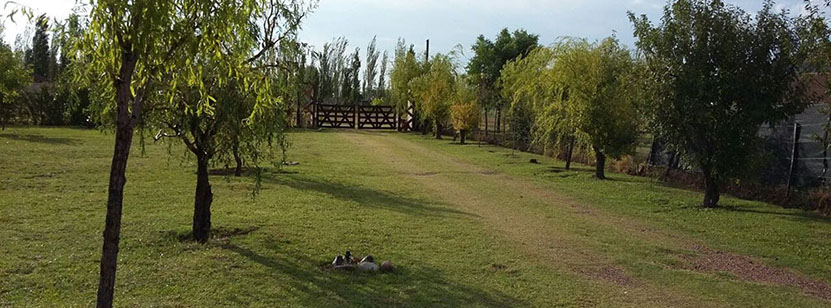 Cabaña San Rafael Mendoza Antu Mahuida