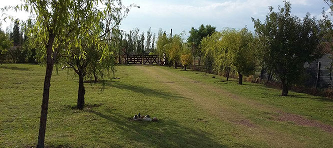 Cabaña San Rafael Mendoza Antu Mahuida