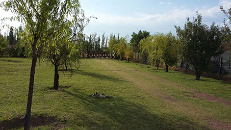 Cabaña San Rafael Mendoza Antu Mahuida